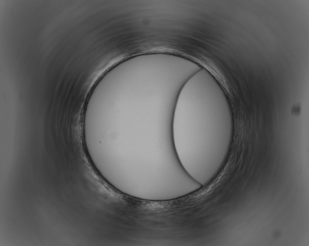 X0000091180806200708231527