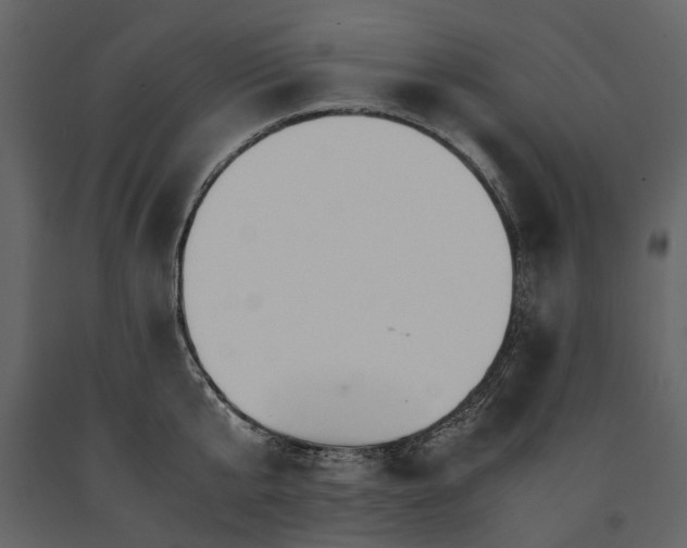 X0000091180807200708231527