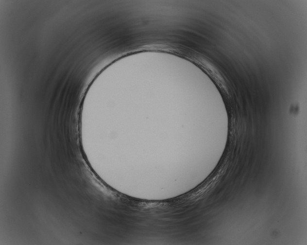 X0000091180808200708231527