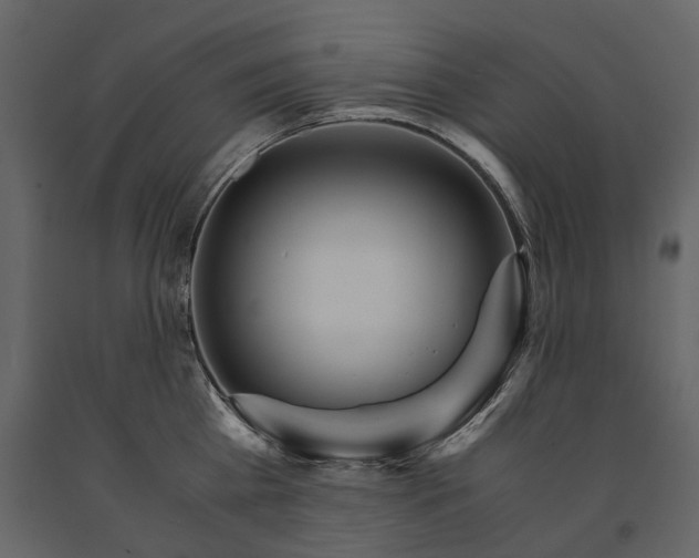 X0000091180809200708231527