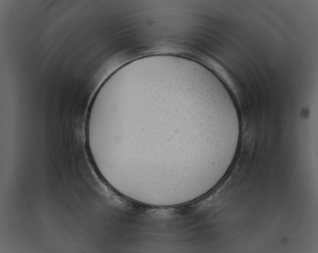 X0000091180810200708231527
