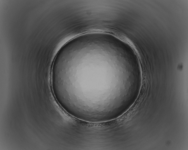 X0000091180811200708231527