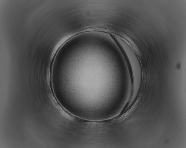 X0000091180812200708231527