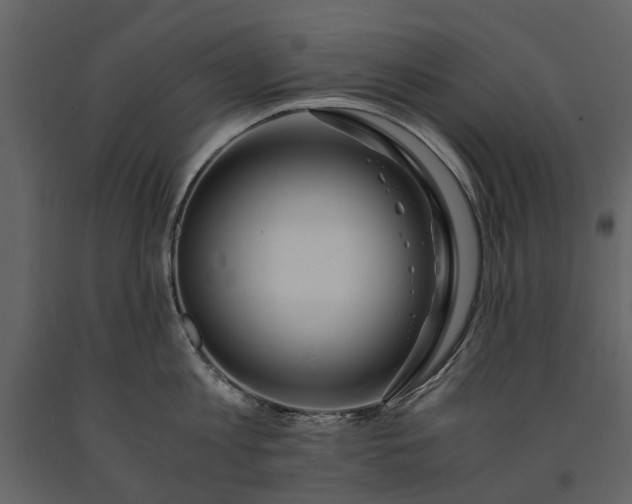 X0000091180813200708231527
