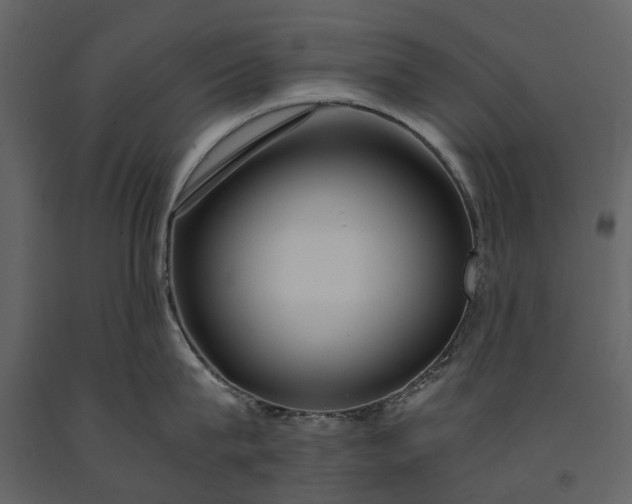 X0000091180815200708231527