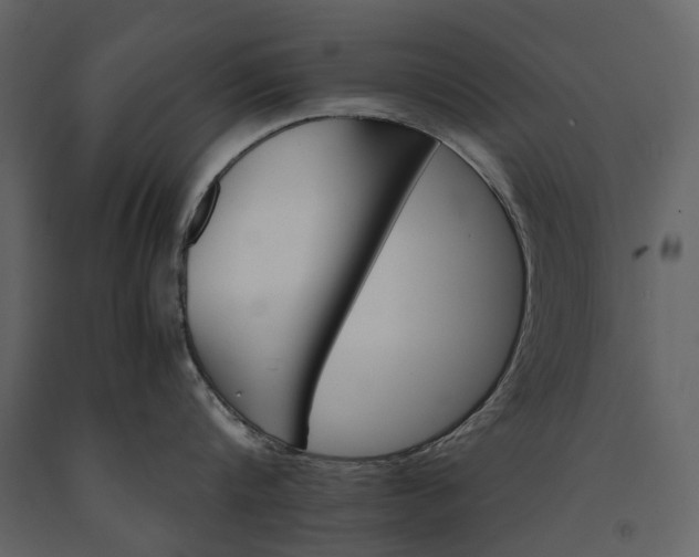 X0000091180816200708231527