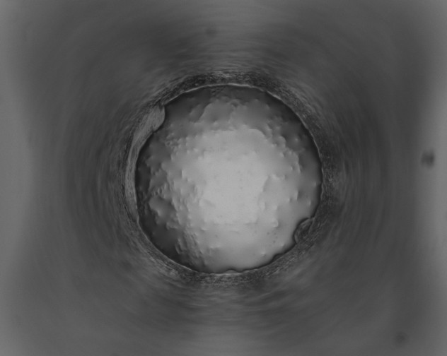 X0000091180817200708231527