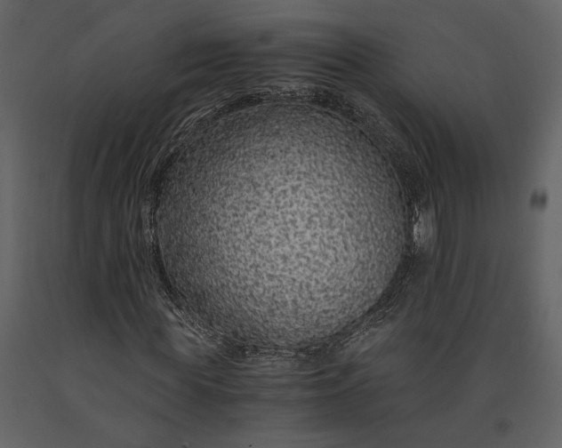 X0000091180819200708231527