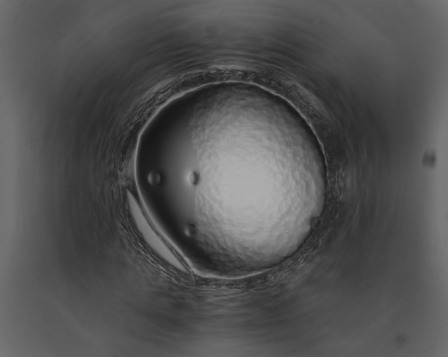 X0000091180821200708231527