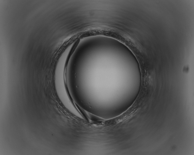 X0000091180822200708231527