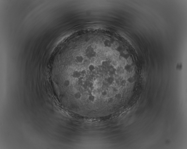 X0000091180823200708231527