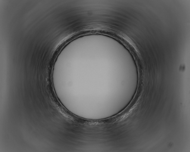 X0000091180826200708231527