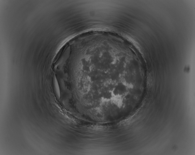 X0000091180829200708231527
