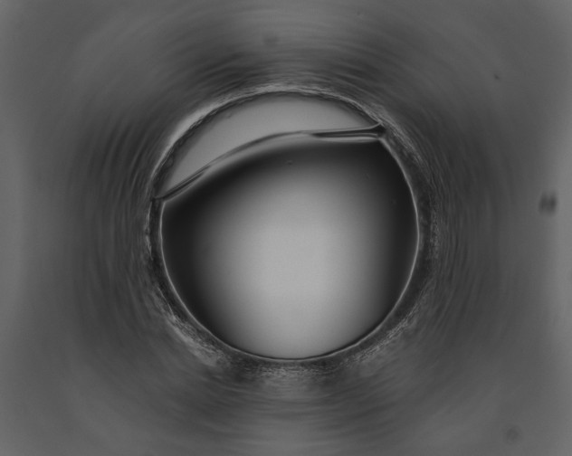 X0000091180830200708231527