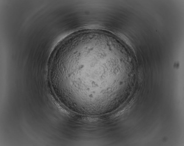 X0000091180831200708231527
