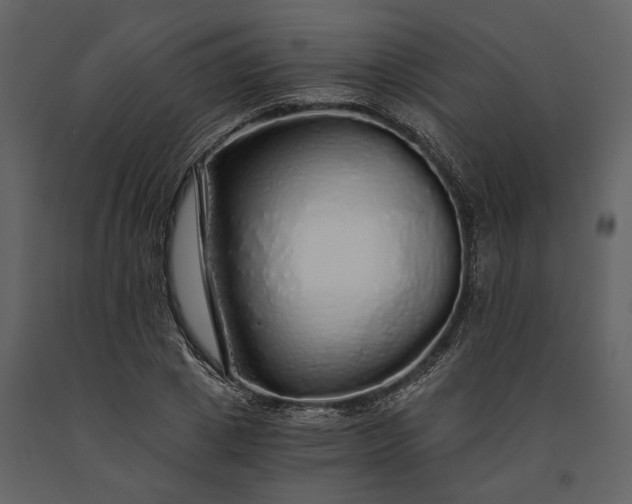 X0000091180833200708231527