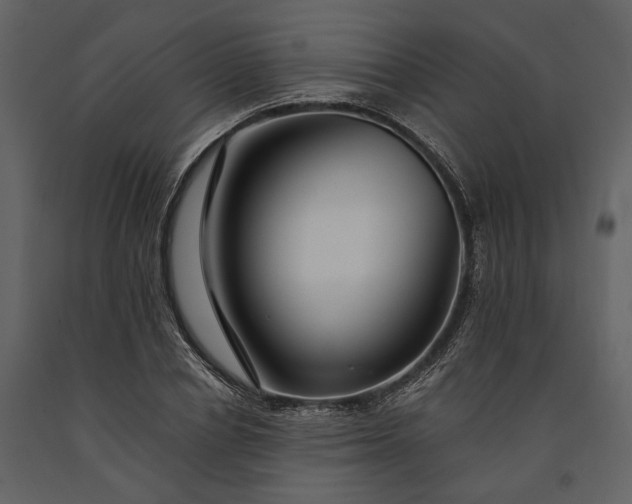 X0000091180834200708231527
