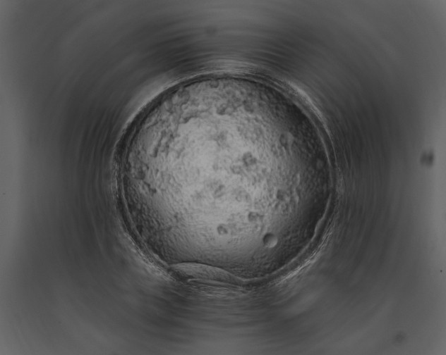 X0000091180835200708231527