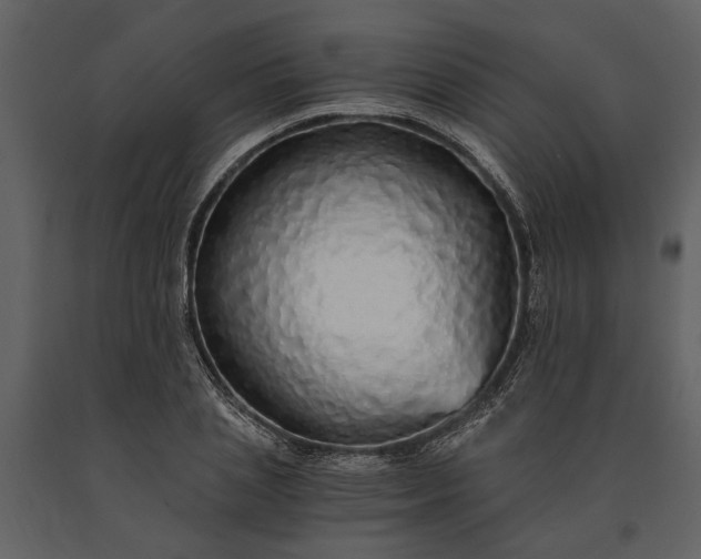 X0000091180837200708231527