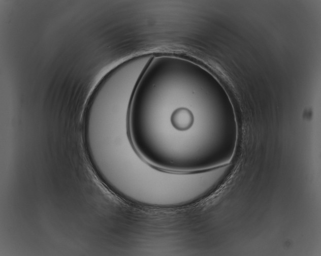 X0000091180838200708231527