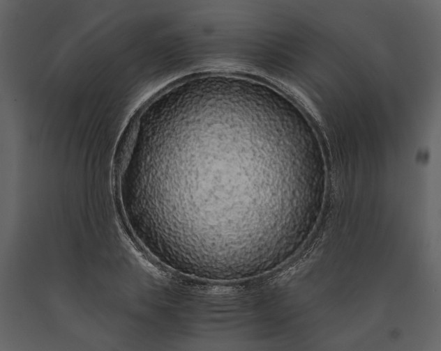 X0000091180839200708231527