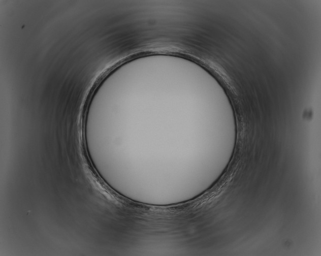 X0000091180840200708231527