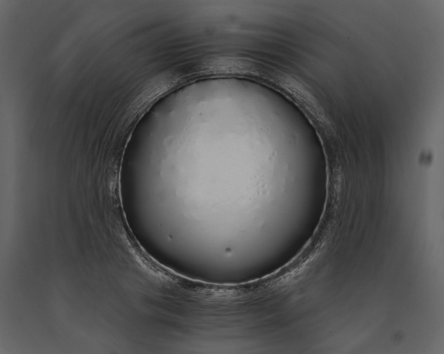 X0000091180841200708231527