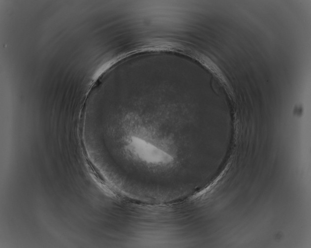 X0000091180842200708231527