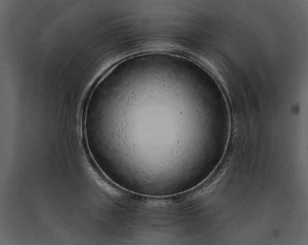 X0000091180843200708231527