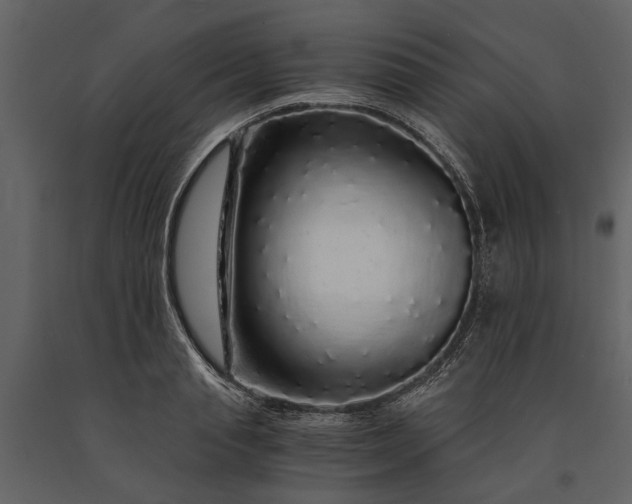 X0000091180845200708231527