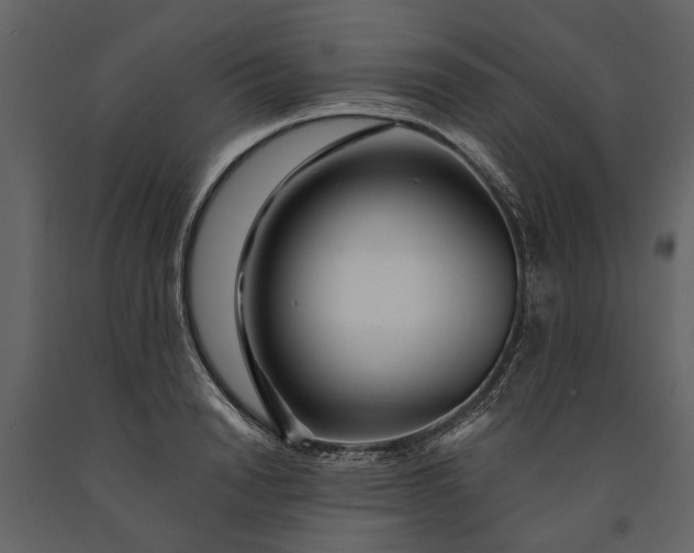 X0000091180846200708231527