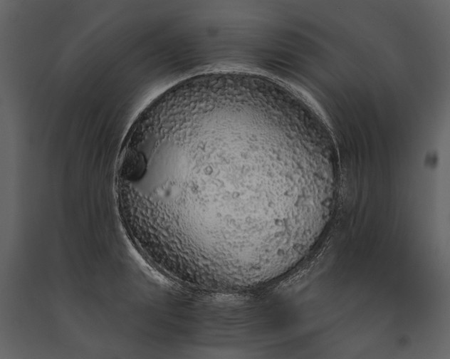 X0000091180847200708231527