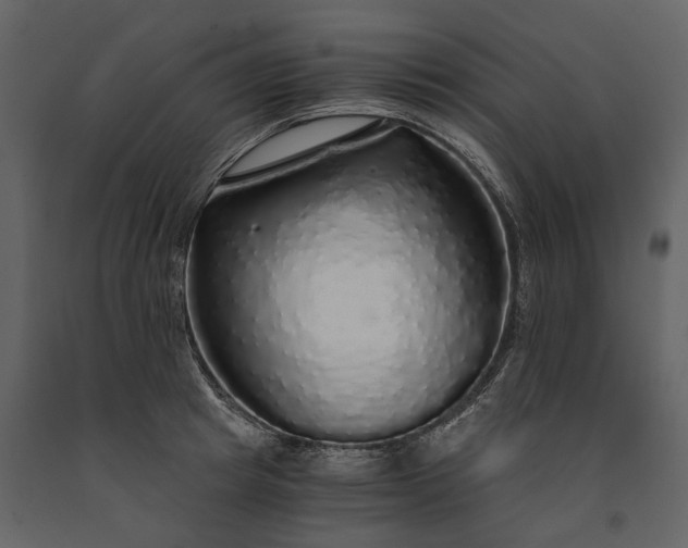X0000091180849200708231527