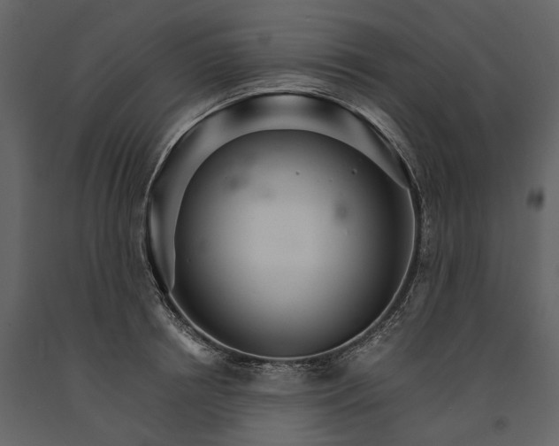 X0000091180850200708231527
