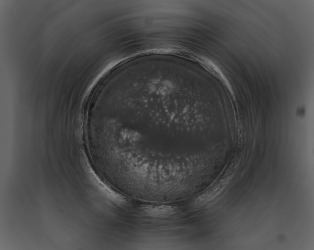 X0000091180851200708231527