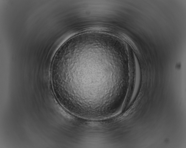 X0000091180852200708231527