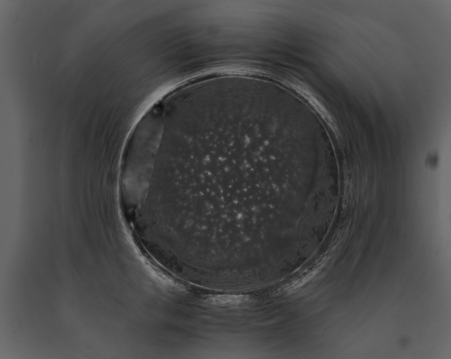 X0000091180853200708231527