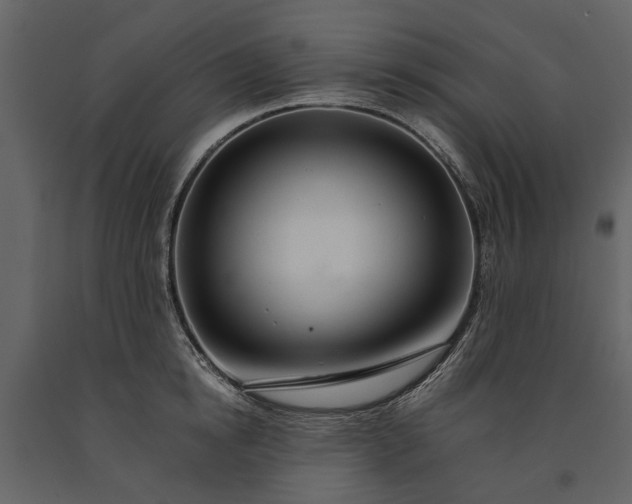 X0000091180854200708231527