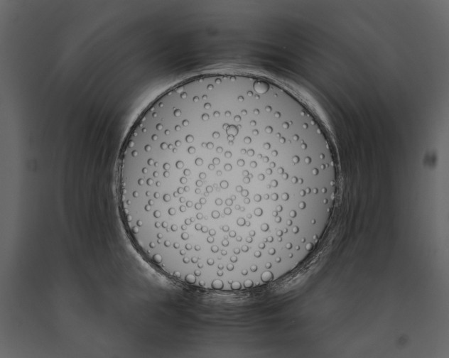 X0000091180855200708231527