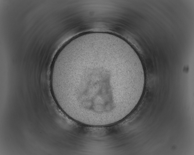 X0000091180856200708231527