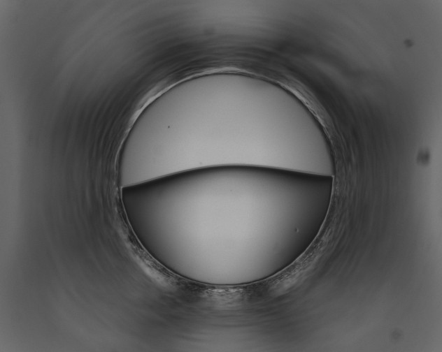 X0000091180858200708231527