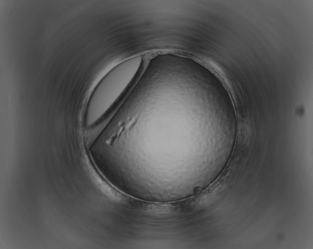 X0000091180859200708231527