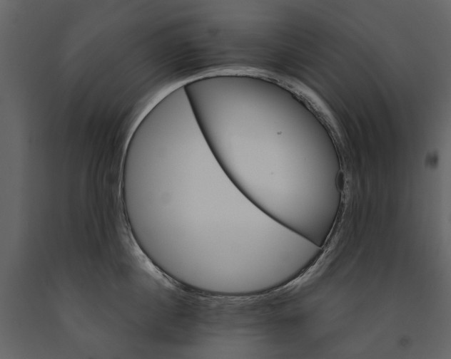 X0000091180860200708231527