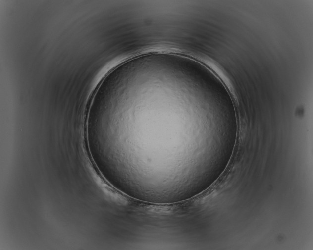 X0000091180861200708231527