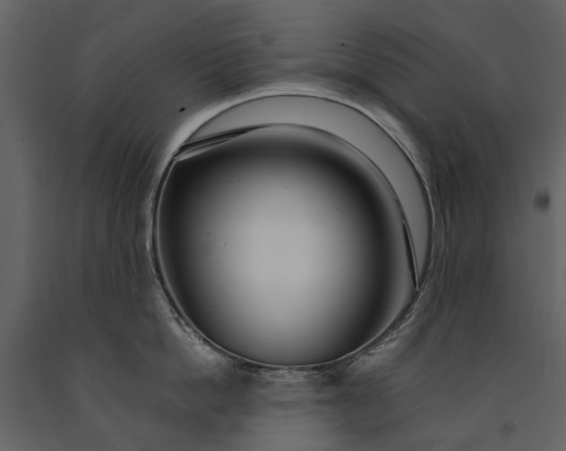 X0000091180862200708231527