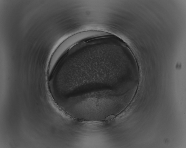 X0000091180864200708231527