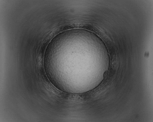X0000091180866200708231526