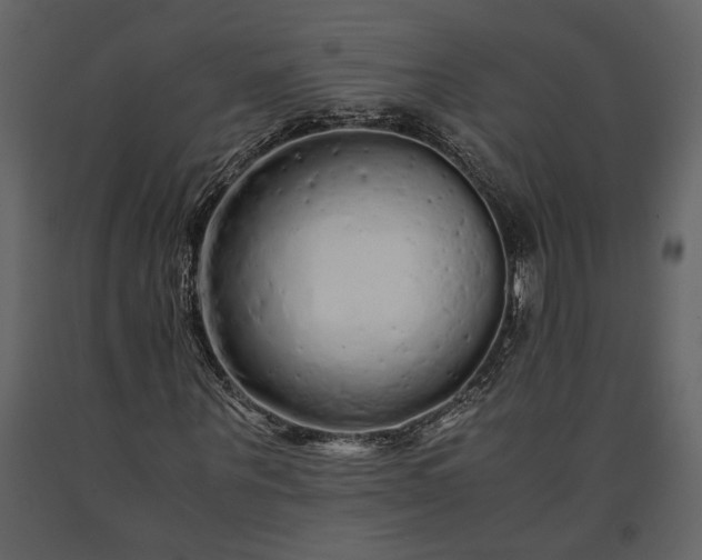 X0000091180867200708231526