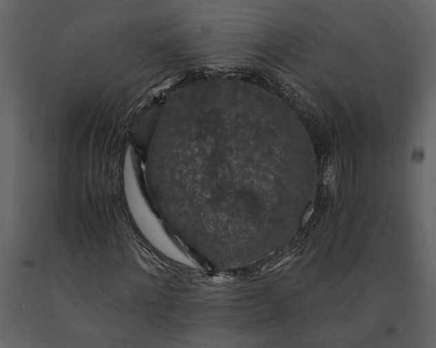 X0000091180868200708231526