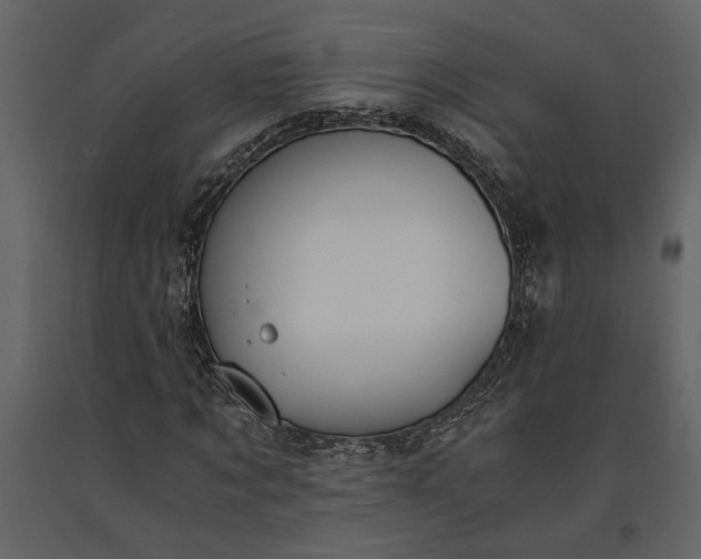 X0000091180869200708231526